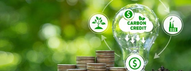 Carbon,Credit,Icons,Is,On,A,Light,Bulb,And,Stack